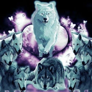 Meet your Posher, Linde